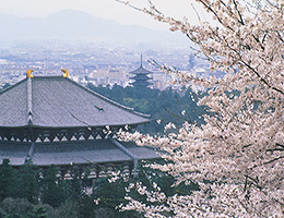 东大寺（大佛殿）