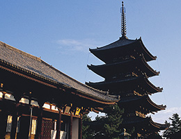兴福寺（东金堂和五重塔）