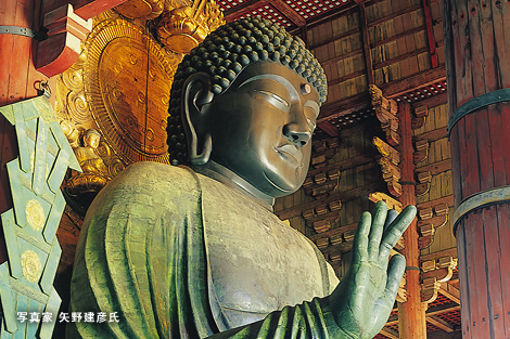 Pict : Great Buddha (in Todai-ji Temple)