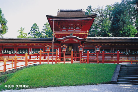 Pict : Kasuga Taisha (Kasuga Grand Shrine)