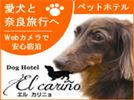 愛犬と奈良旅行へ Dog Hotel El carino
